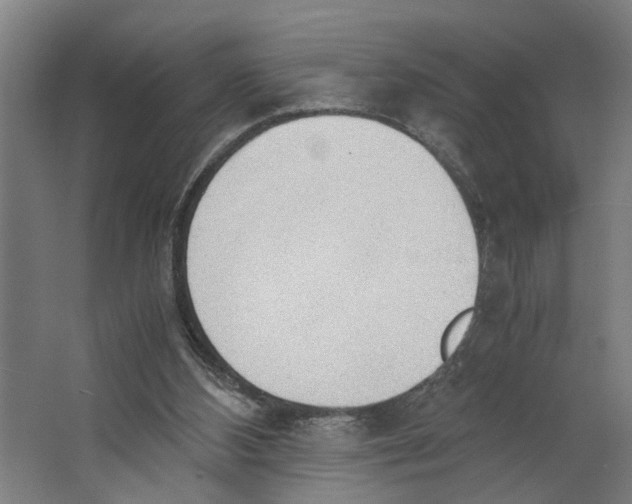 X0000063470108200602101751