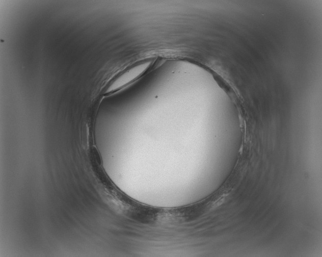 X0000063470109200602101751