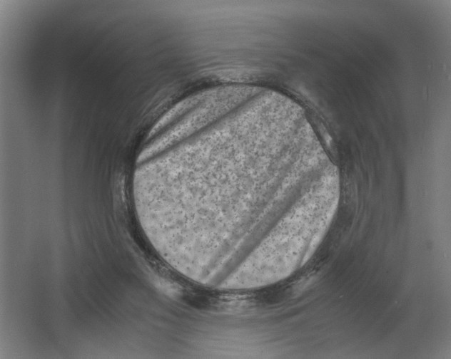 X0000063470117200602101750