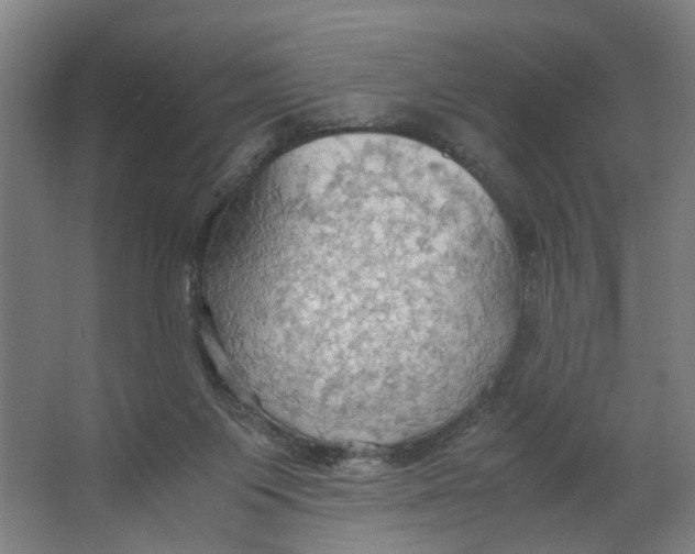 X0000063470119200602101750