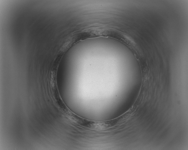 X0000063470121200602101750