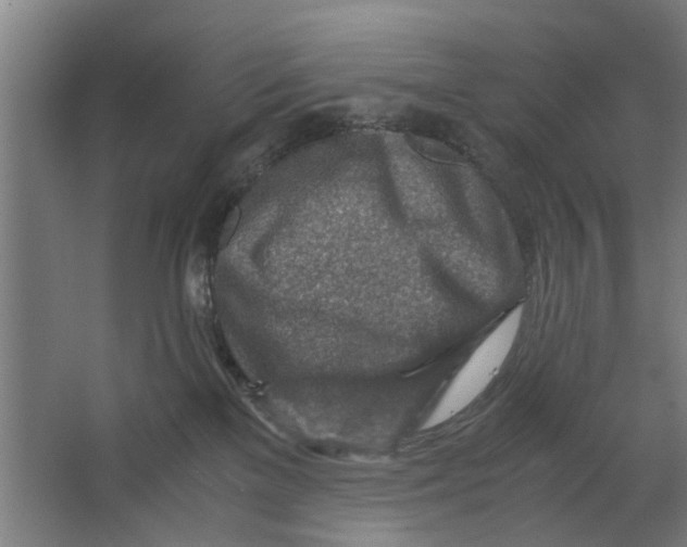 X0000063470137200602101750