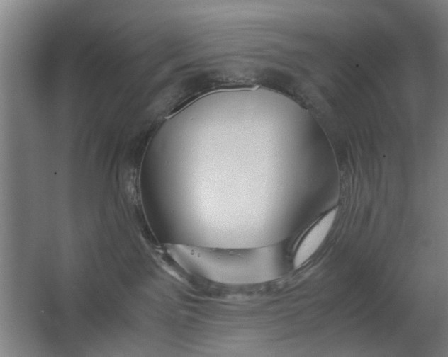 X0000063470141200602101750