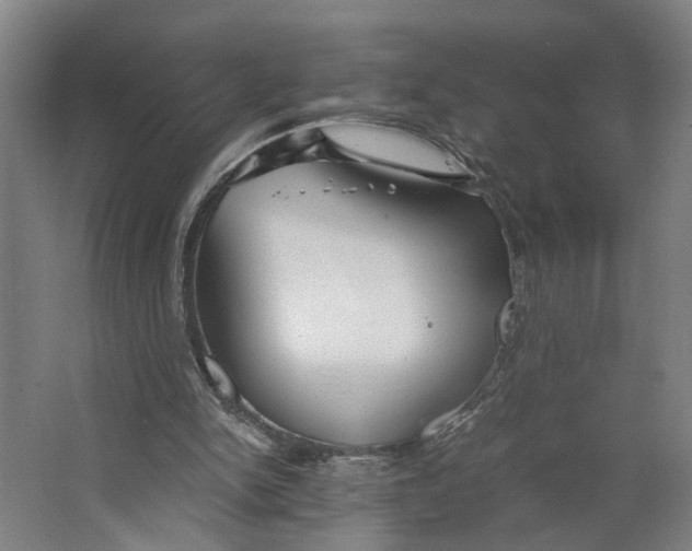 X0000063470150200602101749