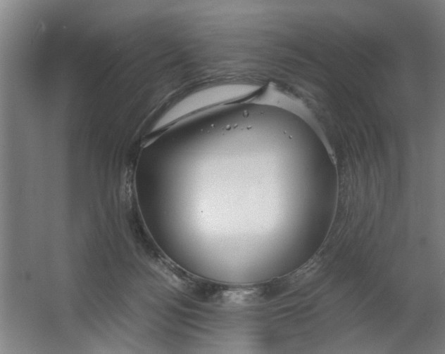 X0000063470172200602101750