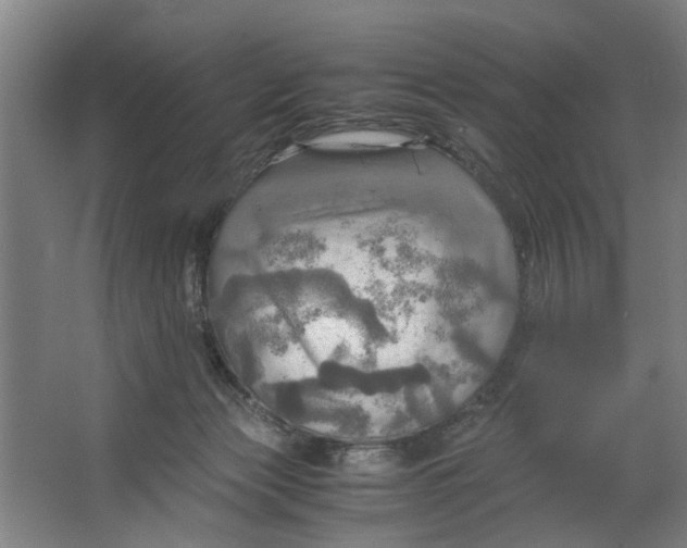 X0000063470173200602101750