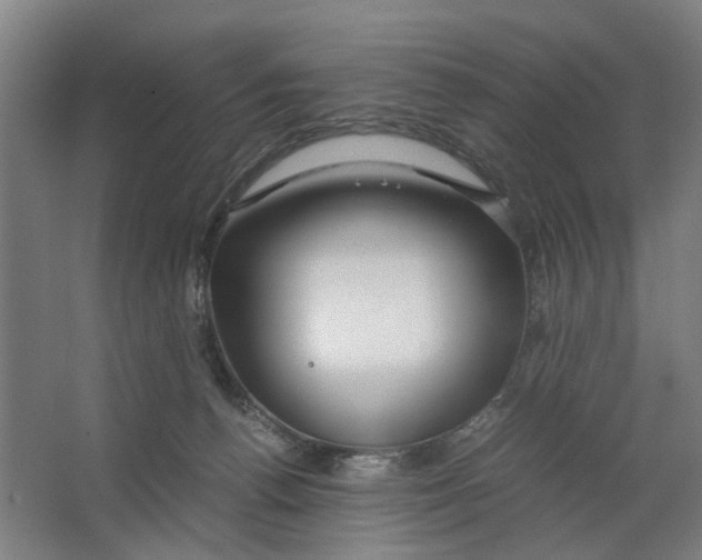X0000063470176200602101750