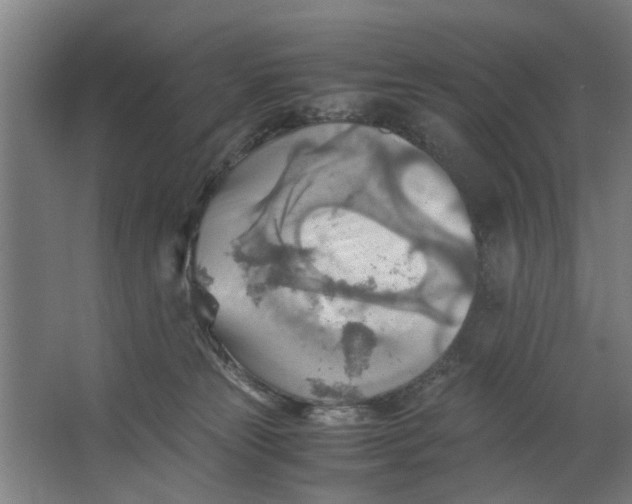 X0000063470181200602101750