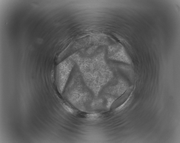 X0000063470192200602101750