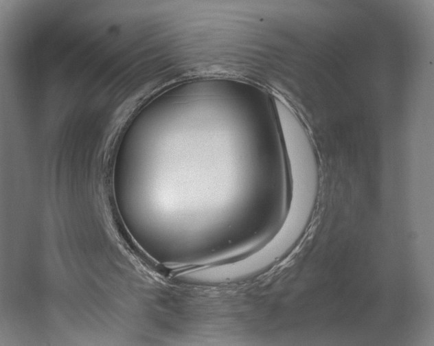 X0000063470193200602101749