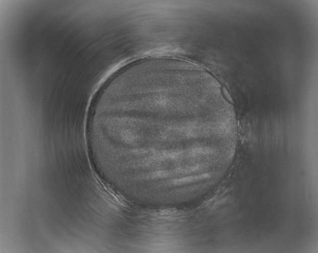 X0000063470196200602101749