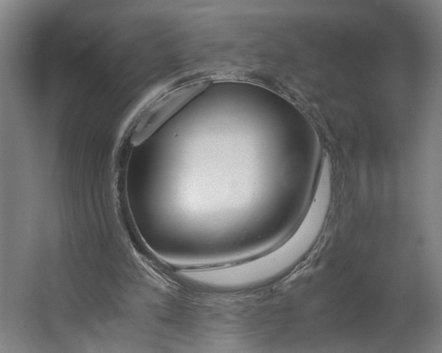 X0000063470197200602101749