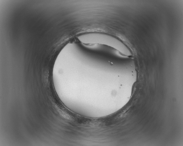 X0000063470201200602101749