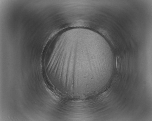 X0000063470204200602101749