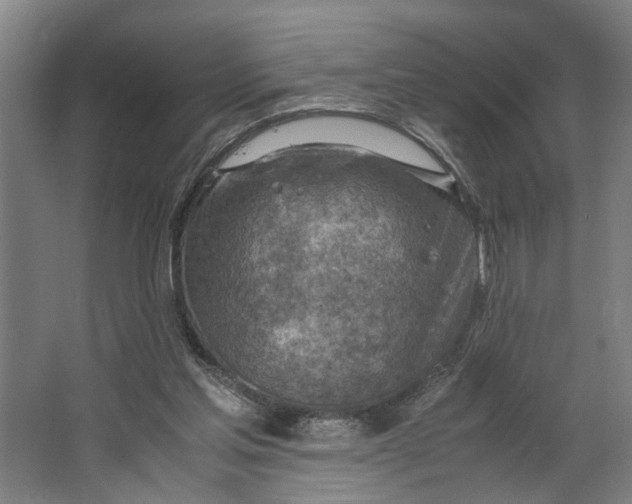 X0000063470205200602101749
