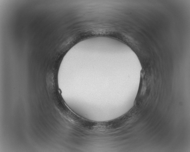 X0000063470211200602101749