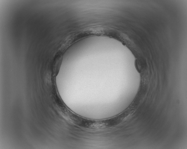 X0000063470213200602101749