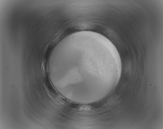 X0000063470214200602101749