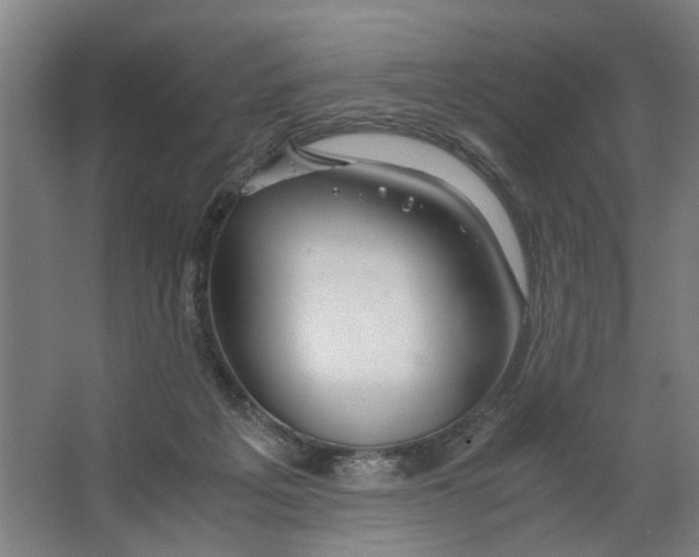 X0000063470217200602101749