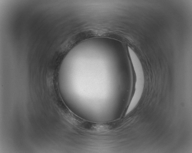 X0000063470221200602101749