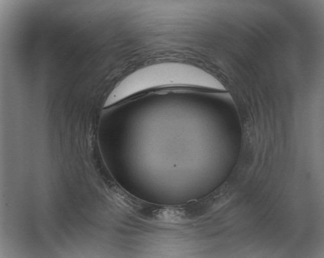 X0000063470223200602101749