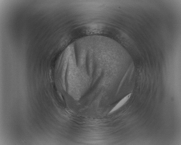 X0000063470224200602101749