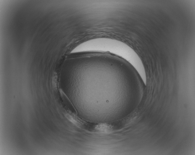 X0000063470231200602101748