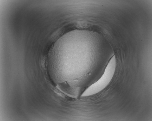 X0000063470233200602101748