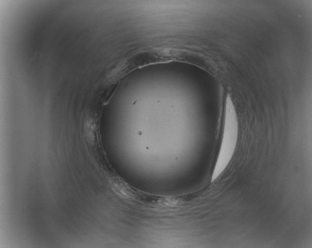 X0000063470235200602101748