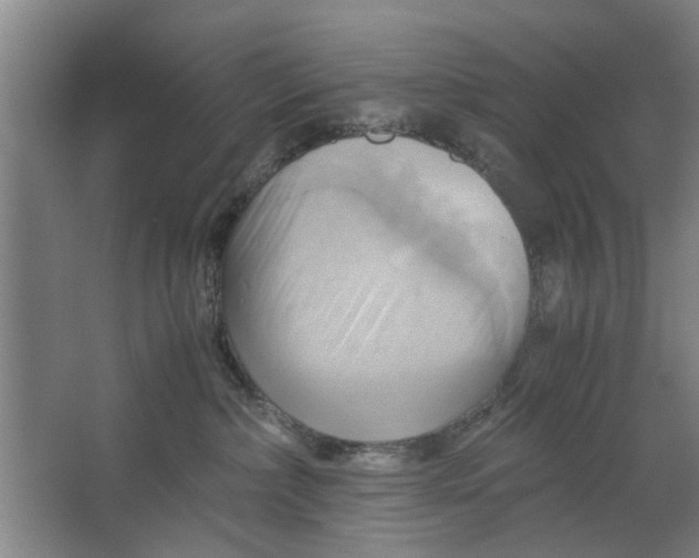 X0000063470236200602101748