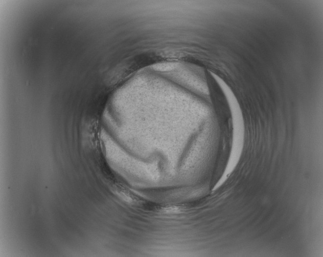 X0000063470237200602101748