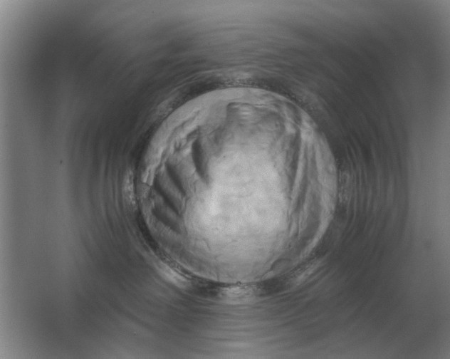 X0000063470238200602101748