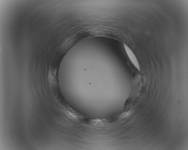 X0000063470239200602101748