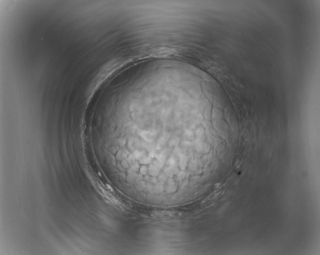 X0000063470242200602101748