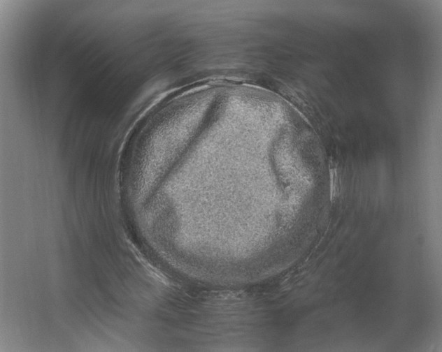 X0000063470243200602101748