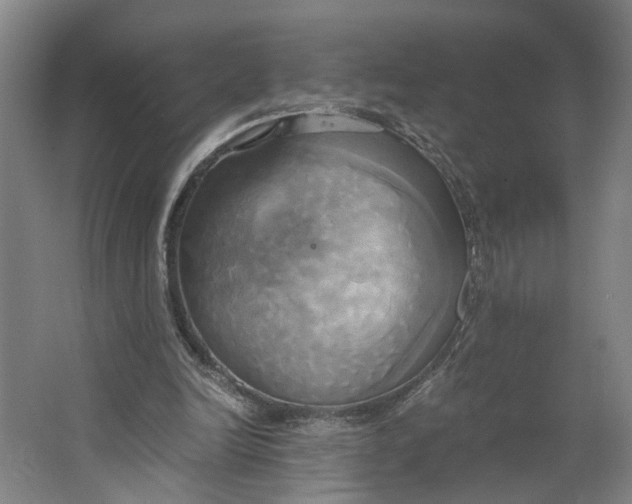 X0000063470246200602101748