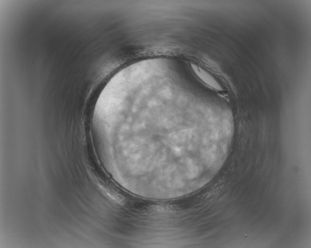 X0000063470250200602101748