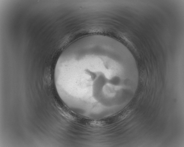 X0000063470261200602101748