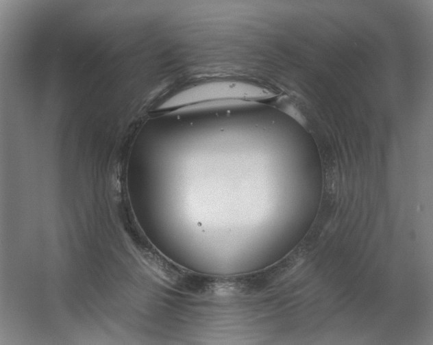 X0000063470264200602101748