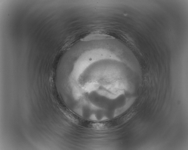 X0000063470265200602101748