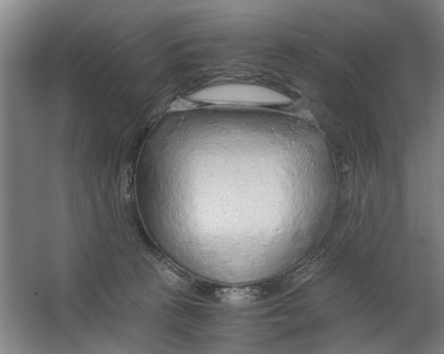 X0000063470273200602101748