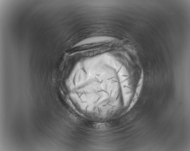 X0000063470277200602101748