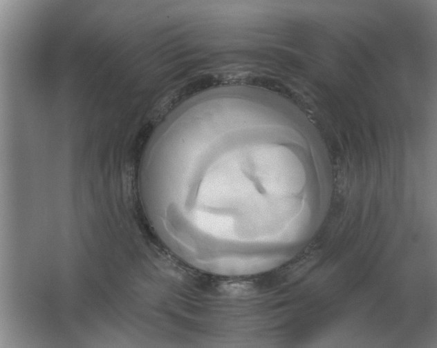 X0000063470283200602101748