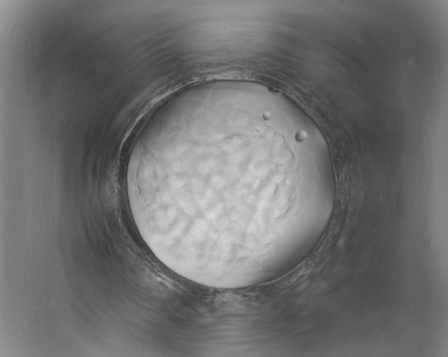 X0000063470290200602101748