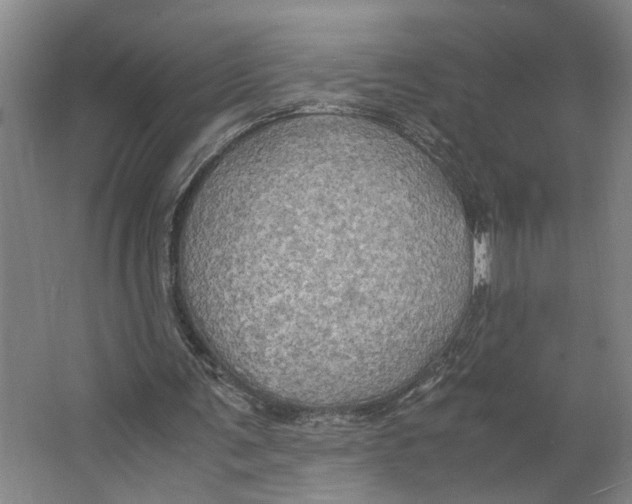 X0000063470291200602101747