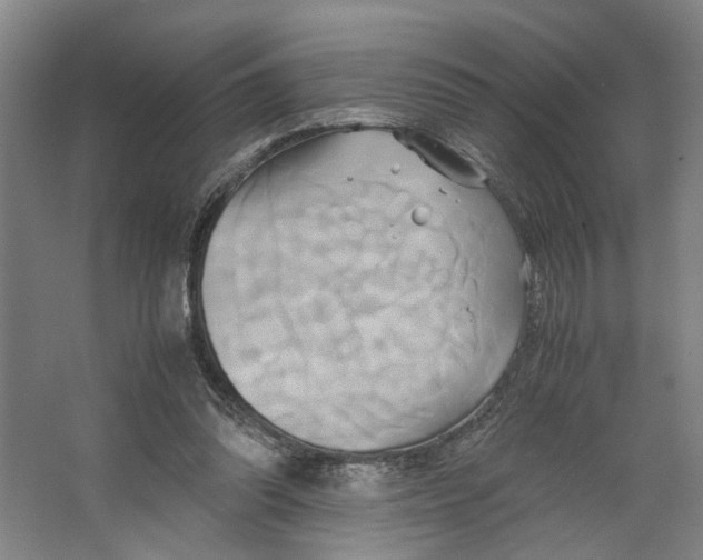 X0000063470302200602101747