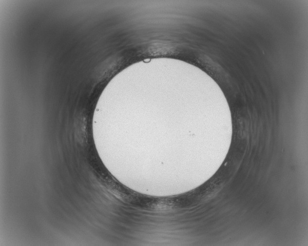 X0000063470308200602101747