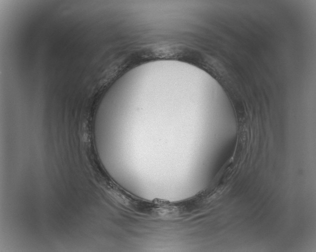 X0000063470317200602101747