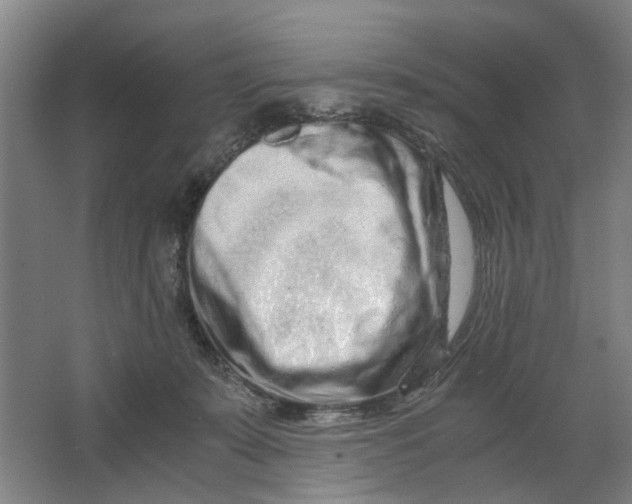X0000063470319200602101747