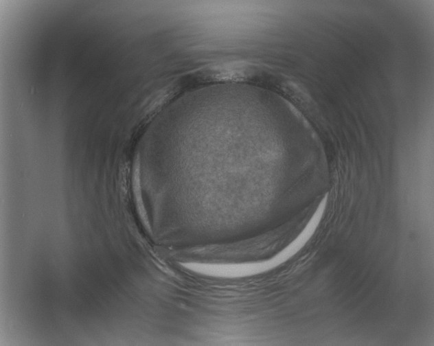 X0000063470325200602101747